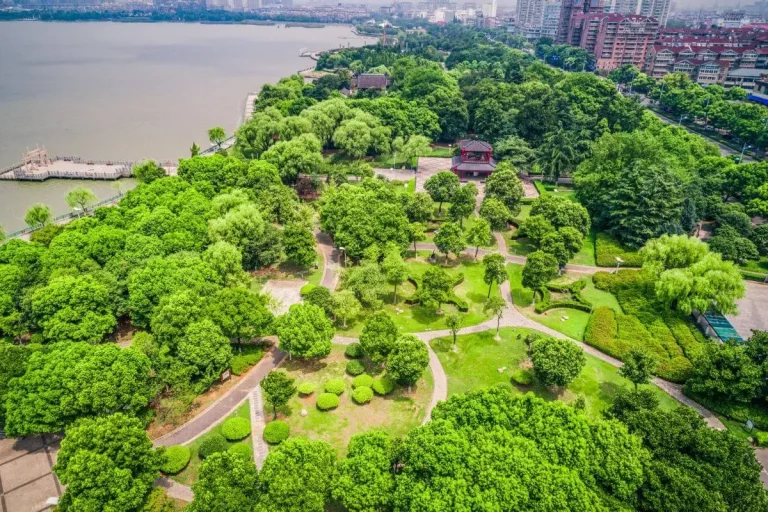 Plantas e grandes cidades, uma combinação mais que perfeita