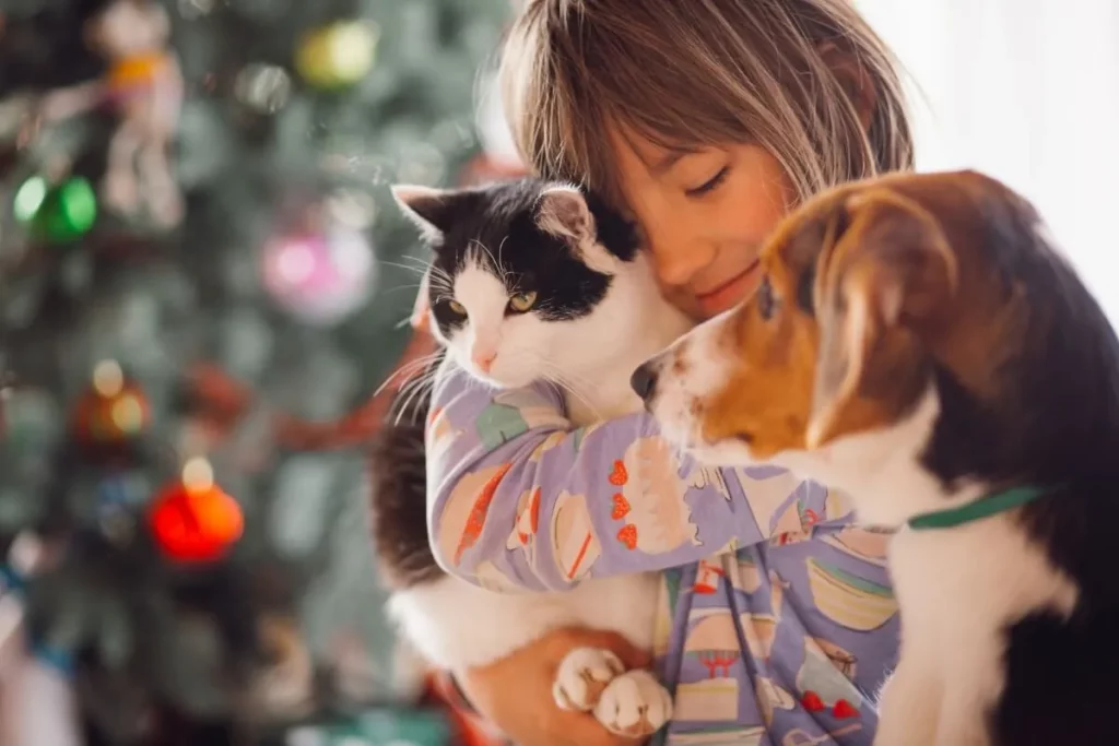 Animais domésticos um exemplo de conforto, carinho e amor